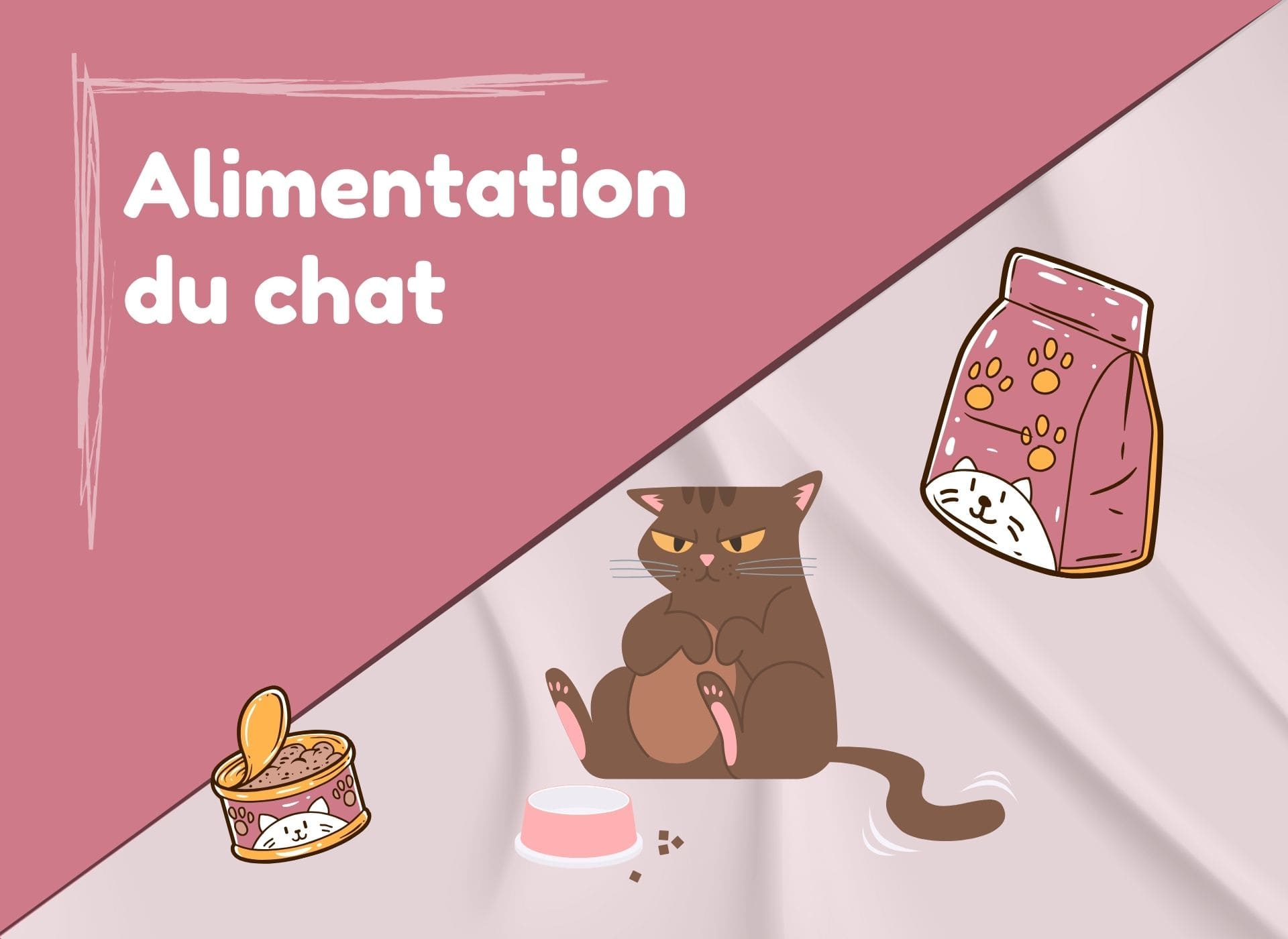 Alimentation du chat