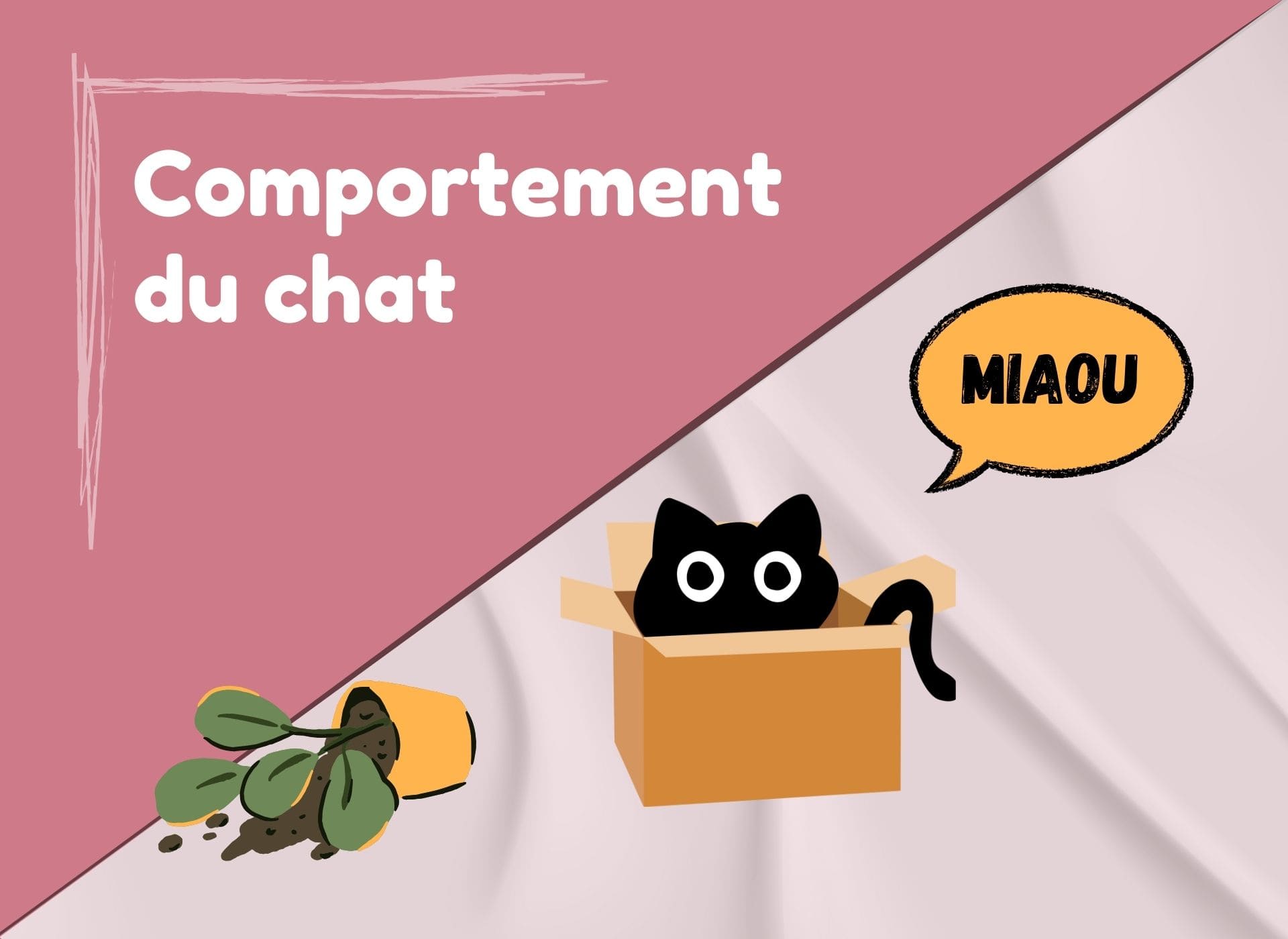 Comportement du chat