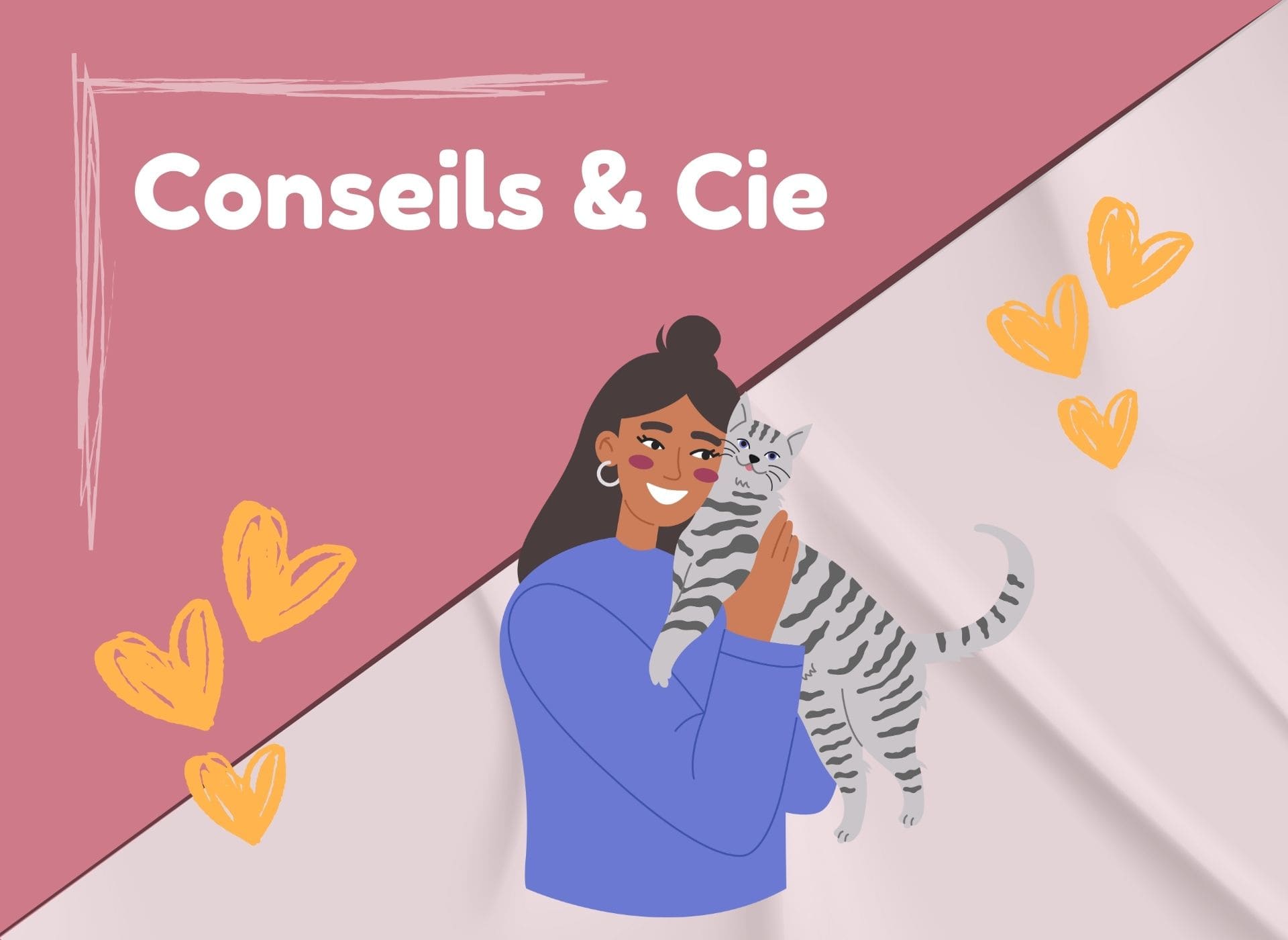Conseils sur les chats