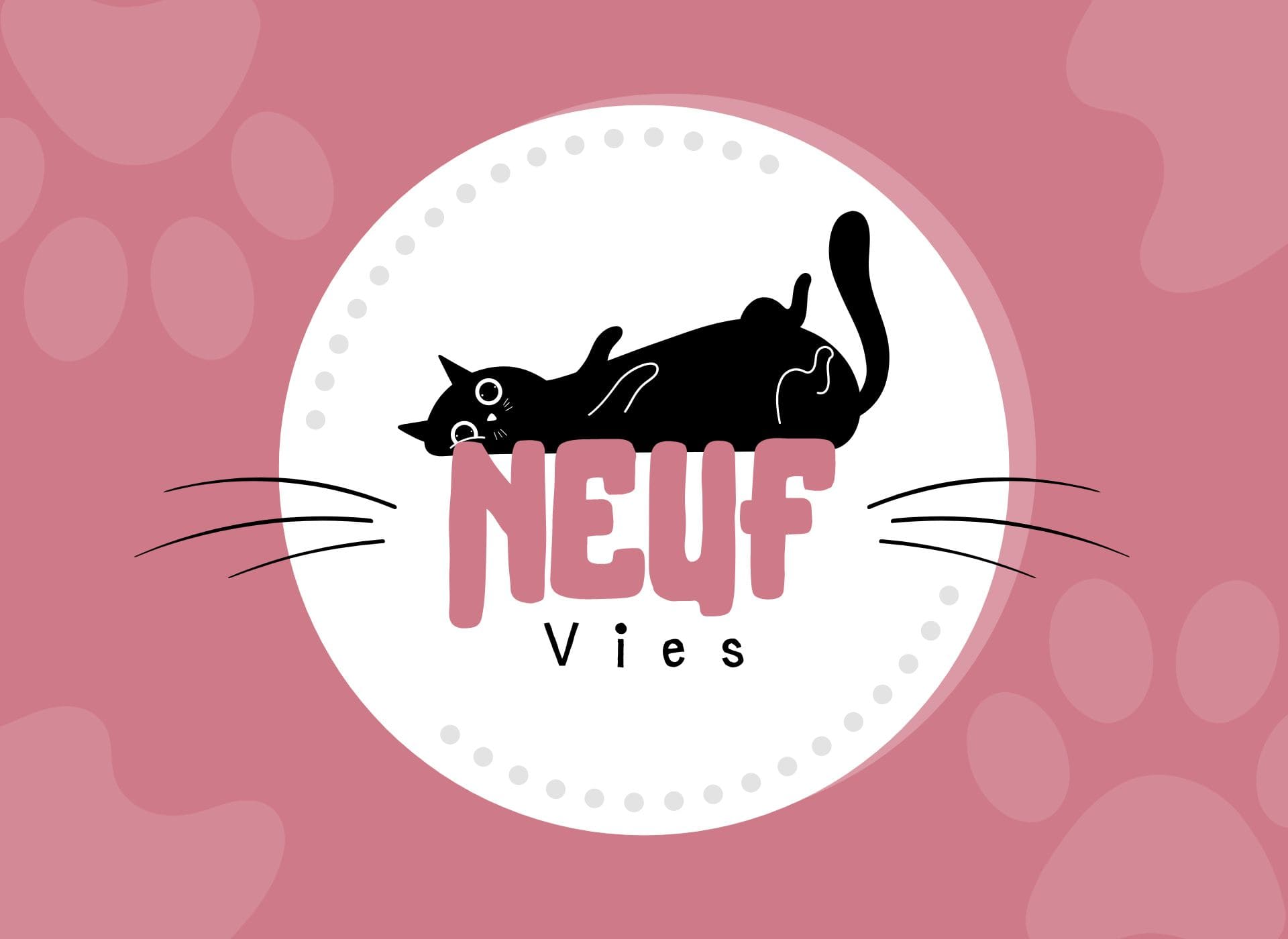 Neuf Vies, un blog sur le chat pour les amoureux des chats.